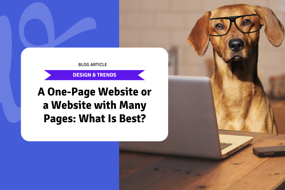 A One-Page Website or a Website with Many Pages: What Is Best?