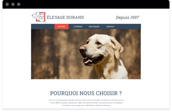 Create a pet care services website | Create a free Website 